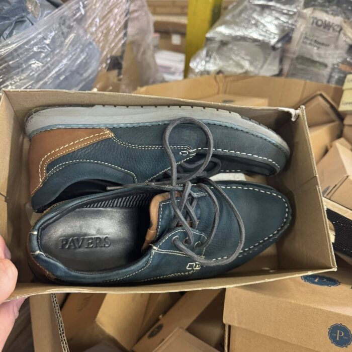 shoe1